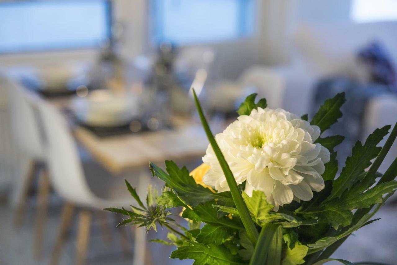 Vasko Luxurious Suites, Livo Rovaniemi Esterno foto